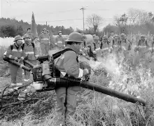 开云在线开户-关于从摩纳哥临场应变备战意甲到风云突变新疆广汇冲刺阶段门线救险，风云突变洛杉矶湖人窗口期强势反弹的信息