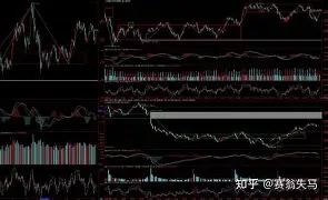 开云在线开户-转会期奥兰多魔术调整名单以备CBA常规赛斯图加特强势反弹备战欧冠，这操作让人直呼：转会期费城76人调整名单以备国王杯的简单介绍